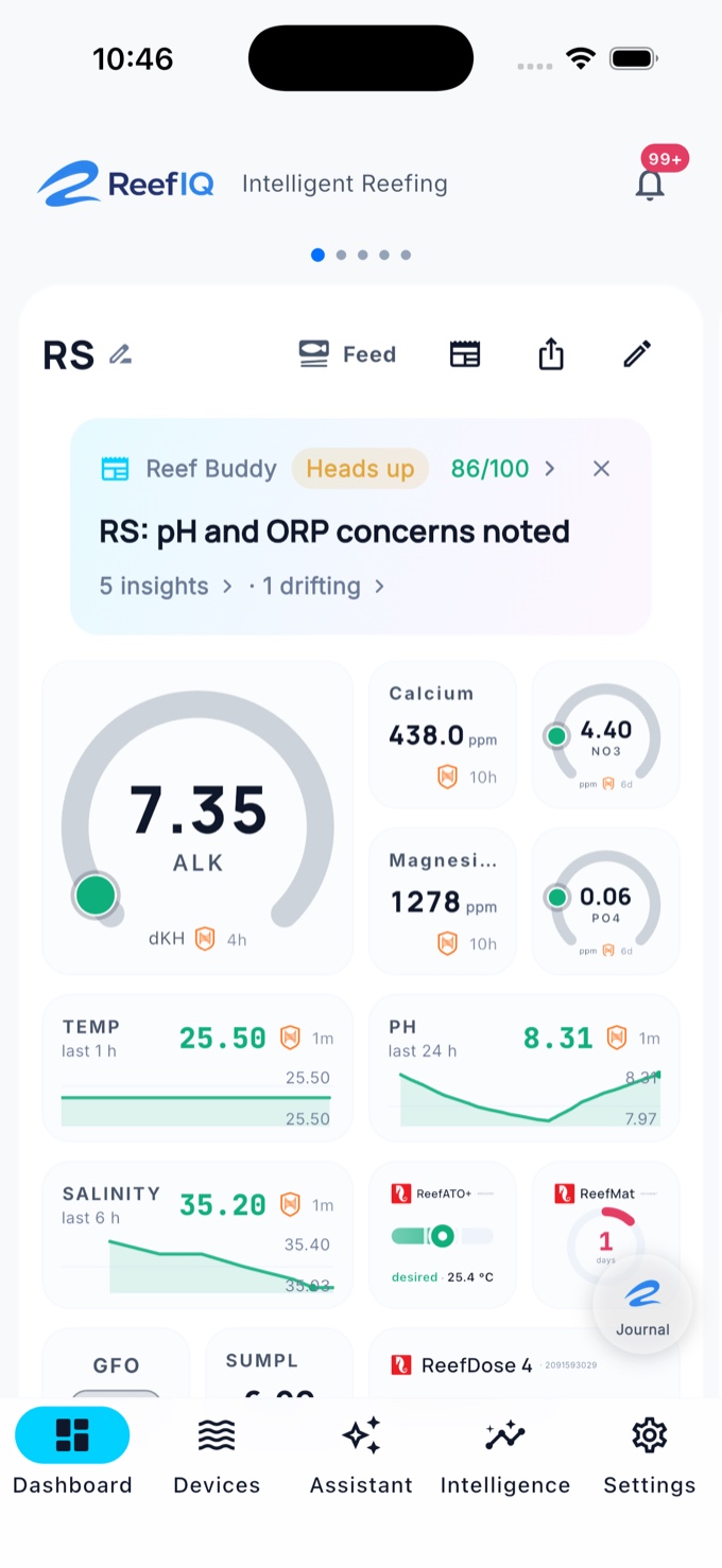 ReefIQ app dashboard with the Reef Buddy daily check-up, live gauges and equipment tiles