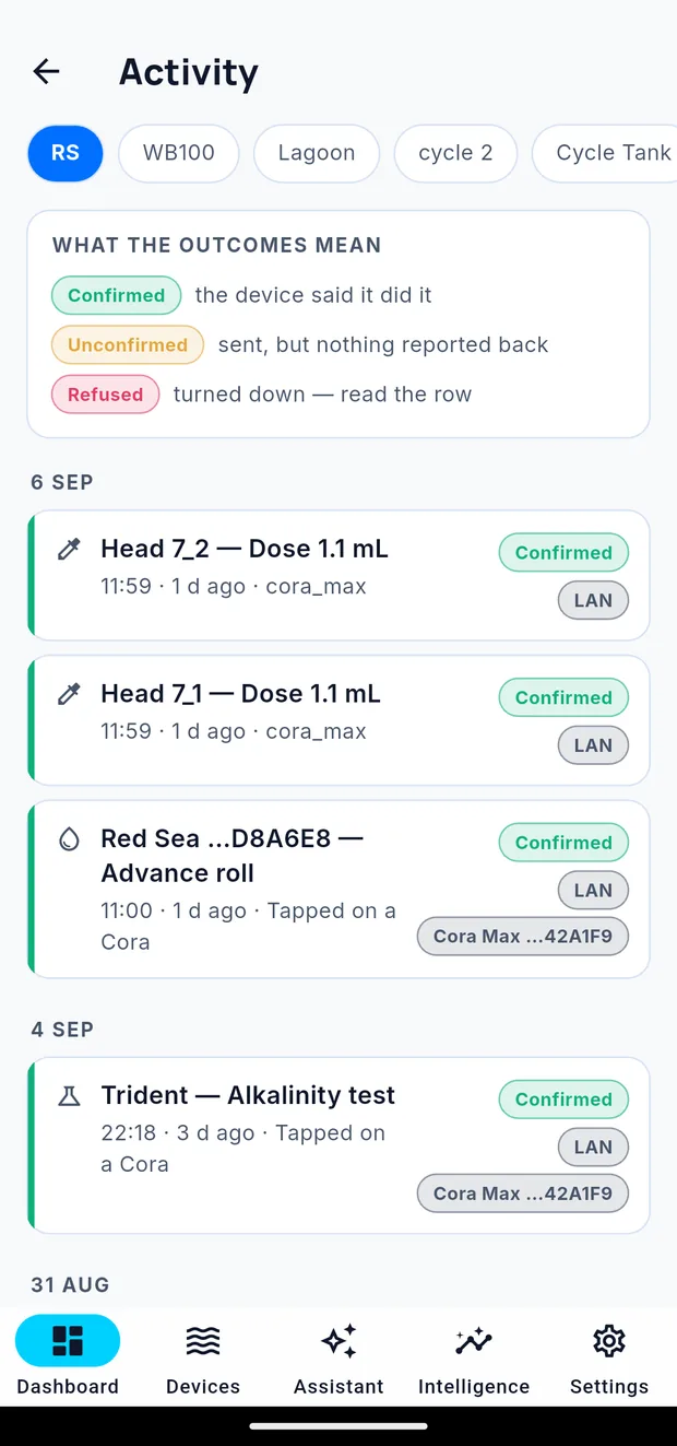 The activity log