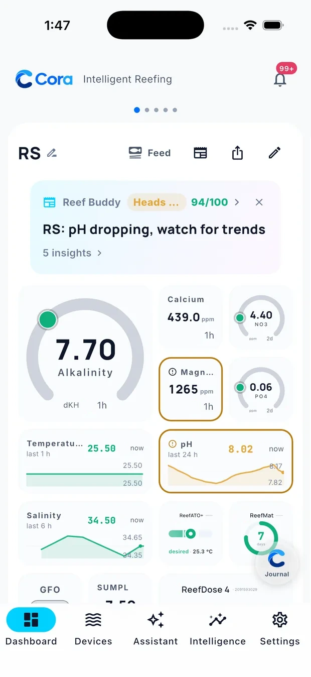 A Cora Mobile dashboard