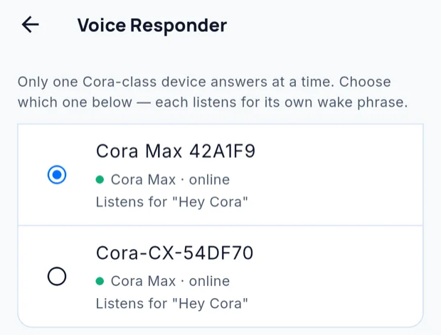 The voice responder picker